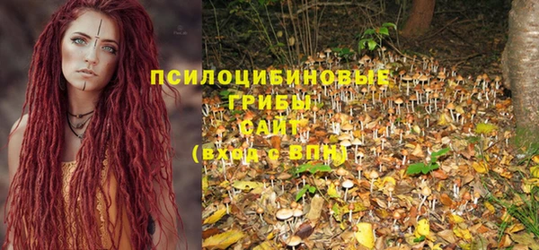 мдпв Лиски