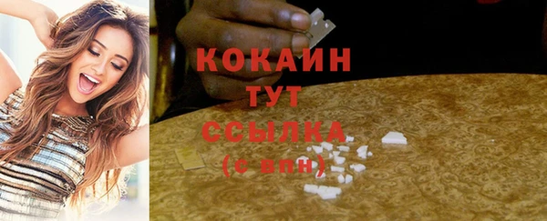 мдпв Лиски