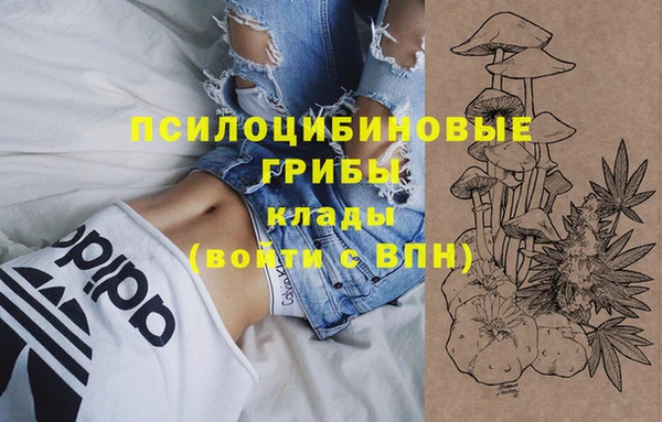 гашик Алексин