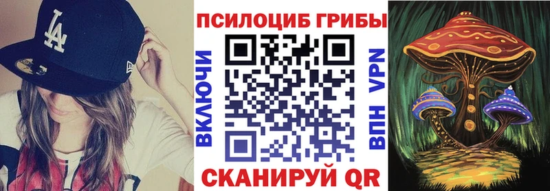 Псилоцибиновые грибы прущие грибы  Хилок 